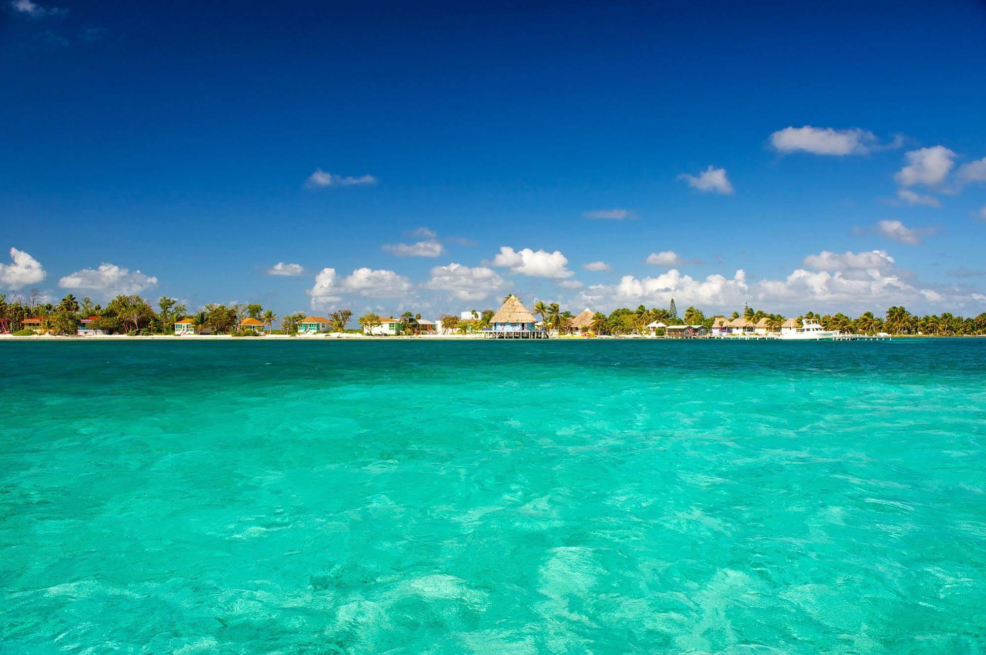 Blackbird Caye Resort Turneffe Atoll Экстерьер фото