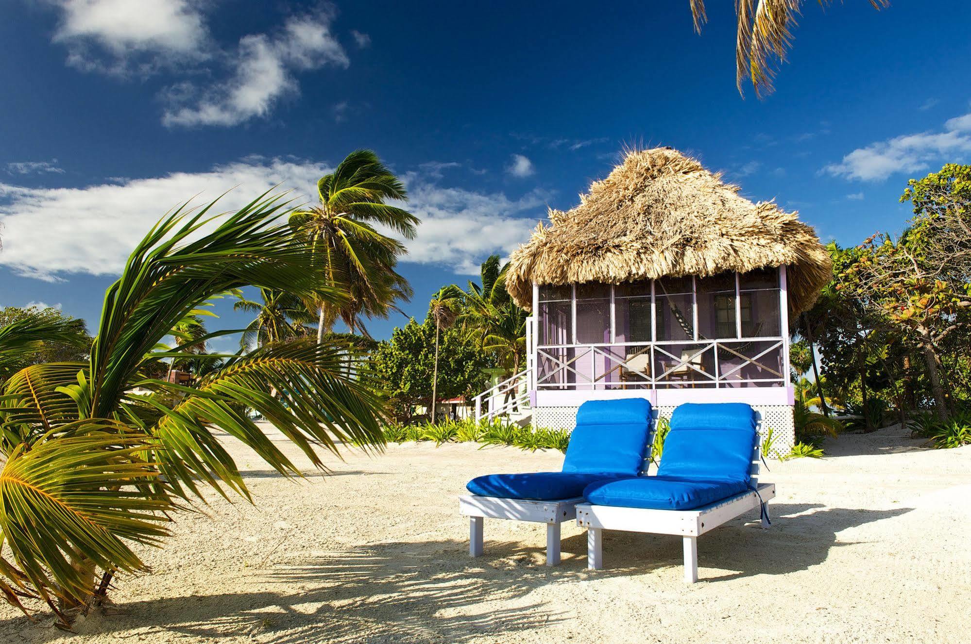 Blackbird Caye Resort Turneffe Atoll Экстерьер фото
